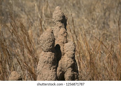 Termite Mounds, North East Arnhem Land, Northern Territory