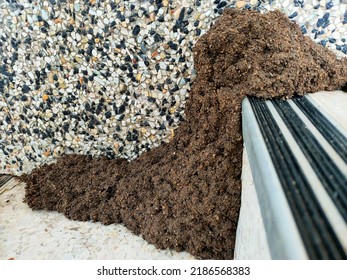 Termite Nests That Are Being Built Around The Stairs.