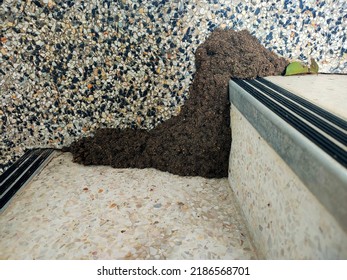 Termite Nests That Are Being Built Around The Stairs.