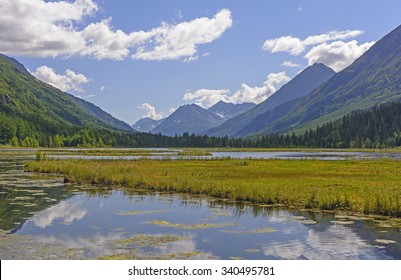 Tern Lake On The Kenai Peninsula In Alaska