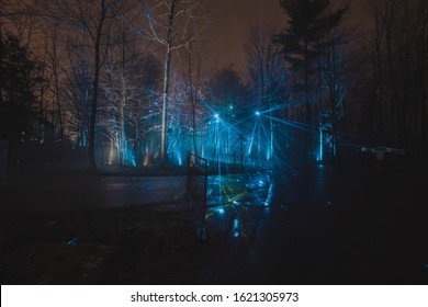 Terra Lumina night laser light beam show in Toronto Zoo forest