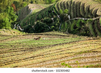 Contour Terracing High Res Stock Images Shutterstock