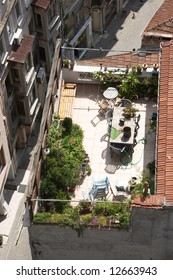 Terrace on the roof with green garden and flowers