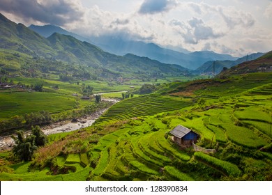Terrace rice field and mountain view, Sapa, Vietnam