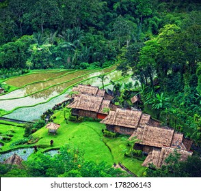 Terrace Rice Fields, Bali, Indonesia