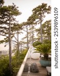 Terrace surrounded by tall pine trees with a distant view of a coastal cityscape. Space is decorated with large white spherical lights, potted plants, and natural stone elements.