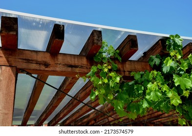 terrace with wooden pergola and plexiglass roof. vines are straining, crawling under the beams. garden or park. sitting with dry wall wine region. restaurant countryside france - Shutterstock ID 2173574579