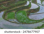 Terraced fields filled with water in mountainous areas of Zhejiang Province, China