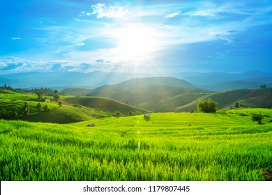 Terraced rice field with sunshine, located in ChiangMai, Thailand