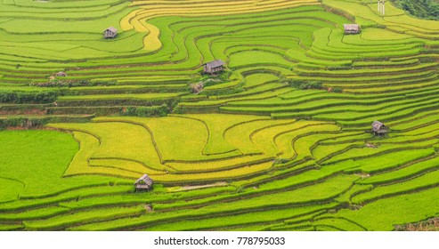 Terraced rice field with traditional houses in Ha Giang, Northwest of Vietnam.