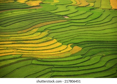 Terraced Rice Field in Vietnam