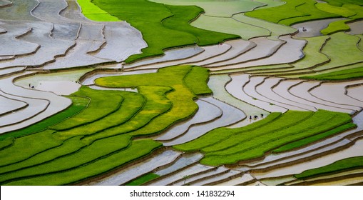 Terraced rice field in water season in Mu Cang Chai, Yen Bai province, Vietnam
