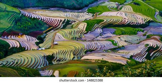 Terraced rice field in water season in Mu Cang Chai, Yen Bai province, Vietnam 