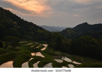 Terraced Rice Fields in a Cloudy Morning (Ooyama Senmaida in Kamogawa City, Chiba Prefecture, Japan)