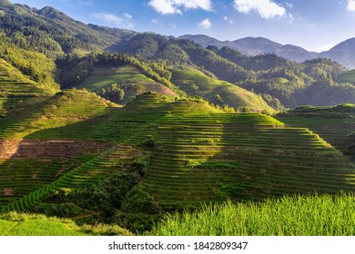 Reisfelder auf Reisfeldern in Longsheng - Chinesische Pantry