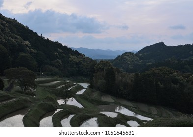 Terraced Rice Fields in the Morning