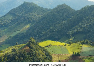 Terraced rice fields , Thailand - Shutterstock ID 1510701428