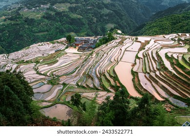 Terraced rice paddies in China's highlands