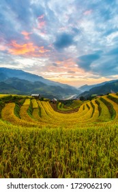 Terraced Rice Paddy Field Landscape Of Mu Cang Chai, Yenbai, Northern Vietnam