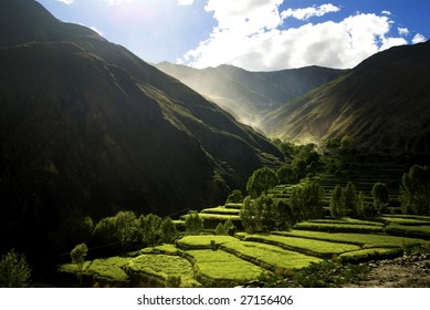 terraces