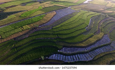 Contour Terracing High Res Stock Images Shutterstock