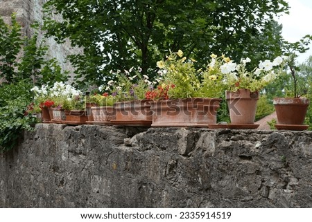 Terracotta flower pots in cylindrical and cuboidal shape with various species flowers placed on a thick stone surrounding wall. On the background there are deciduous trees with dark green leaves.