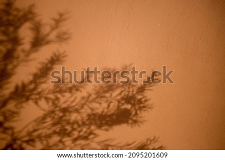 Terracotta orange wall with pattern of tree leaves shadow. African style. Unique texture and background with space for text.