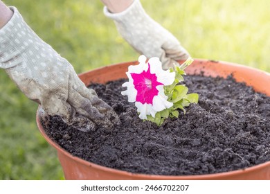 A terracotta pot filled with dark soil is watered with a watering can, creating a stream of water and bubbles. The pot is placed outdoors on green grass, indicating a garden. - Powered by Shutterstock