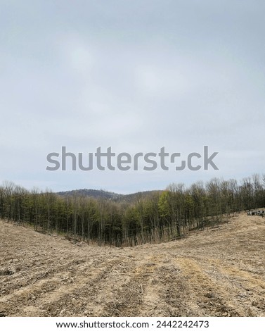 Terrain prepared for the plantation of trees within forest for sustainable future