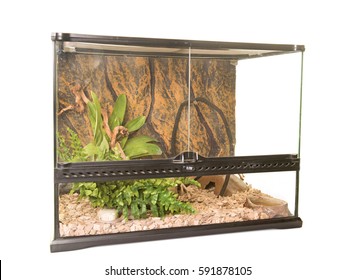 terrarium for reptile in front of white background
