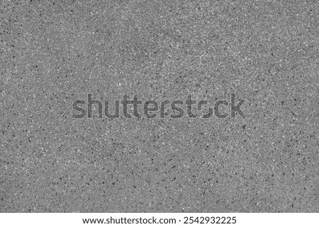 Terrazzo flooring with flecks texture background pattern in black and white