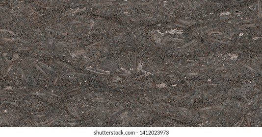 Imagenes Fotos De Stock Y Vectores Sobre Polish Tiles Shutterstock