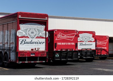 Terre Haute - Circa May 2020: Budweiser Distribution Trucks. Budweiser Is Part Of AB InBev, The Largest Beer Company In The World.