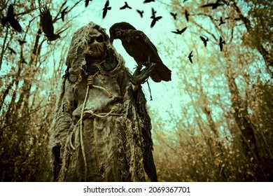 A Terrible Forest Sorcerer With A Canvas Bag On His Head And In A Sackcloth Robe Stands In A Dense Forest With A Black Raven On His Hand. Scarecrow. Halloween Tales. Horror, Thriller.