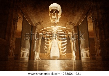 A terrible ghost on the background of the interior of the castle. Horror stories,  phantom,  apparition:, wraith, spook, shadow, illusion, phantasm background. Old gothic style.

