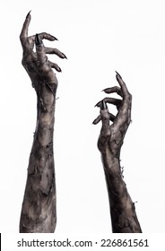 terrible zombie hands, dirty hands of the mummy, zombie theme, halloween theme, white background, isolated, black hand of death with black fingernails, monstrous art