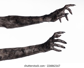 terrible zombie hands, dirty hands of the mummy, zombie theme, halloween theme, white background, isolated, black hand of death with black fingernails, monstrous art