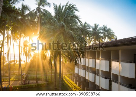Territory of the small hotel near the Ocean. The rays of the Sun break through the branches of coconut palms.