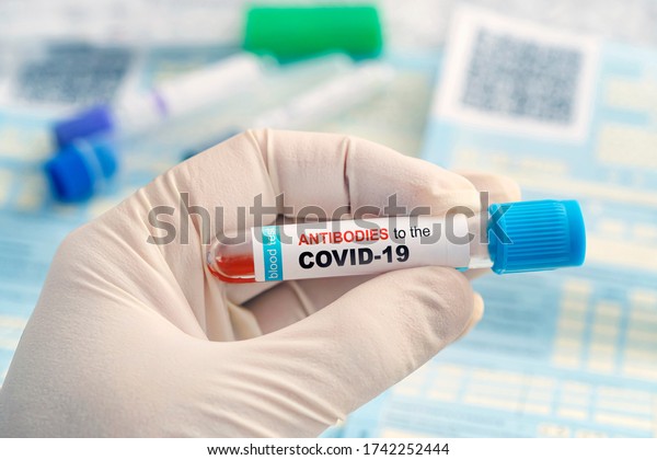Test for antibodies to coronavirus infection.\
Checking the population for immunity to covid 19. A test tube with\
a blood test in the hands of a doctor against the background of\
laboratory research.