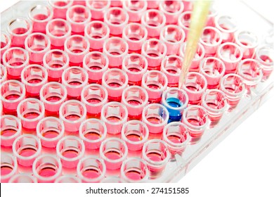 Test Lab Elisa Ninety-six Well Plate Analysis