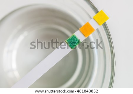 Test strip for water analysis on glass with water.