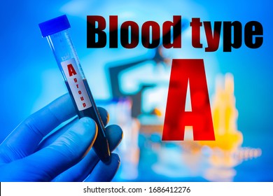 Test Tube With Blood In The Hands Of A Laboratory Assistant. Lettering Group A On A Test Tube. Doctor Holds The Blood Group A. Concept - Definition Of Blood Type. Antigenic Characteristics