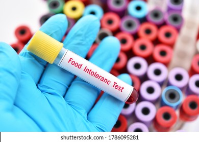 Test Tube With Blood Sample For Food Intolerance Test