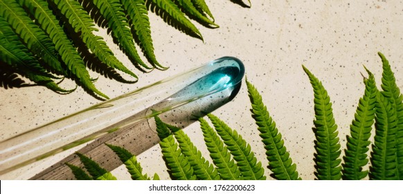 fern-test-images-stock-photos-vectors-shutterstock