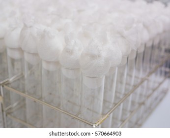Test Tube Cotton Plug Stock Photo 570664903 Shutterstock Test Tube Cotton Plug Stock Photo 570664903 Shutterstock