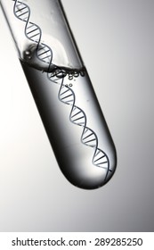 Test Tube And Dna