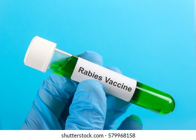 Test Tube With The Rabies Vaccine In The Hand With A Glove On A Blue Background