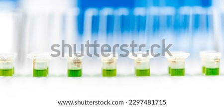 test tubes with chemical solution in the development research laboratory. banner with copy space