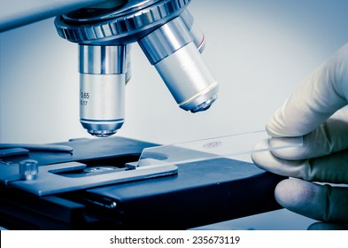 Test Tubes Closeup,medical Glassware