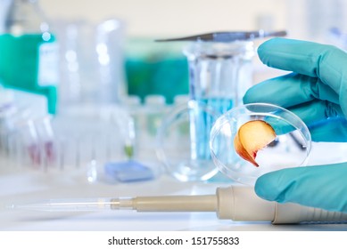 Testing Fruits For Contamination With Pesticides In Laboratory